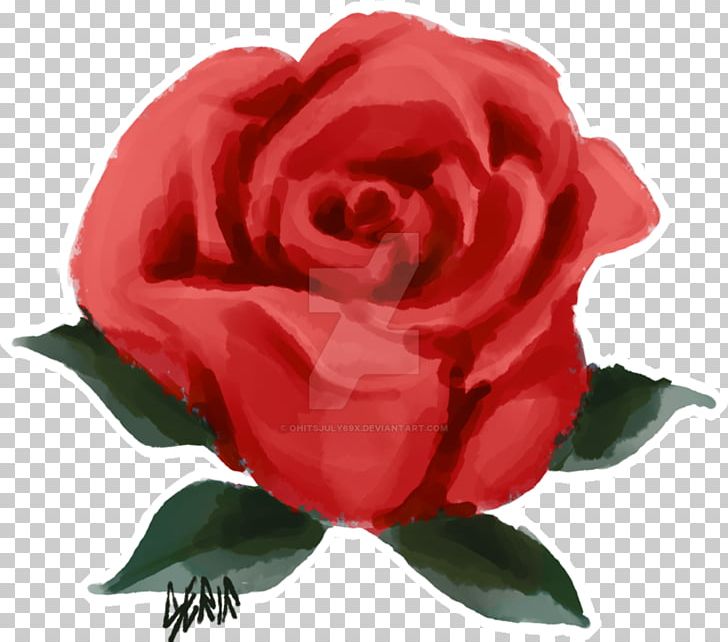 Garden Roses Centifolia Roses Floribunda PNG, Clipart, Black Rose, Centifolia Roses, China Rose, Cut Flowers, Desktop Wallpaper Free PNG Download