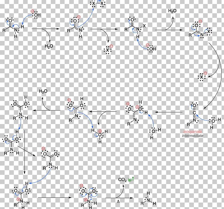 Hofmann Rearrangement Rearrangement Reaction Hofmann Elimination Curtius Rearrangement Elimination Reaction PNG, Clipart, Amide, Amine, Angle, Area, Base Free PNG Download