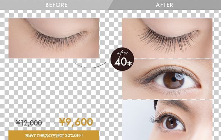Eyelash Extensions Eye Shadow Artificial Hair Integrations プロケアアイラッシュ PNG, Clipart, Artificial Hair Integrations, Beauty, Beauty Parlour, Cosmetics, Eye Free PNG Download