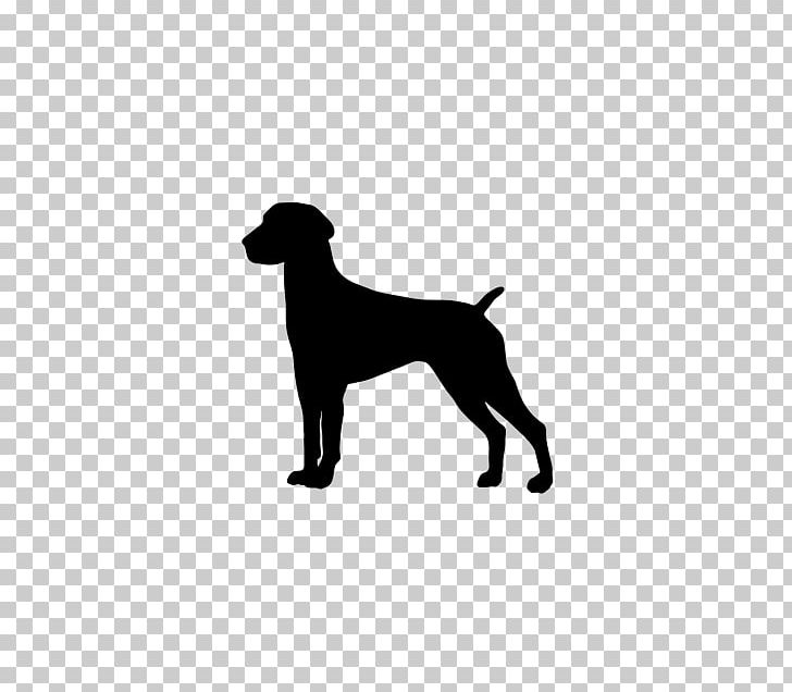 Labrador Retriever German Shorthaired Pointer Boxer Weimaraner PNG, Clipart, Black, Carnivoran, Coat, Decal, Dog Free PNG Download