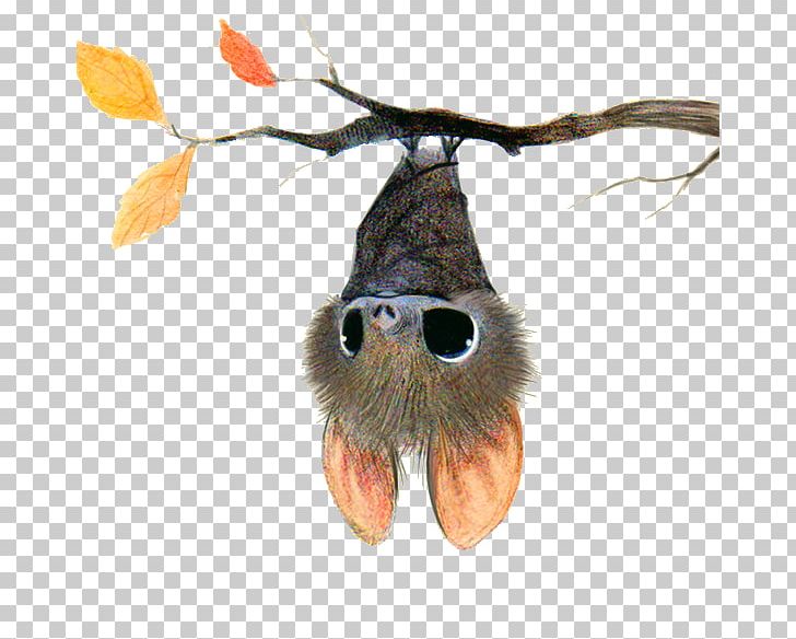 Bat Drawing Cuteness Cartoon Illustration PNG, Clipart, Animal, Animals, Art, Baseball Bat, Bat Free PNG Download
