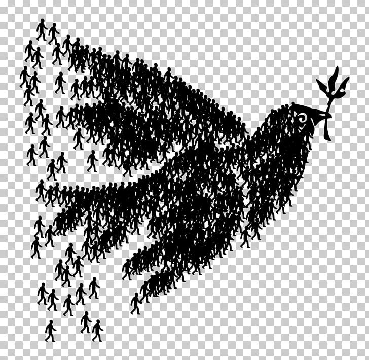 Columbidae Doves As Symbols Peace Symbols PNG, Clipart, Black, Black And White, Branch, Columbidae, Doves Free PNG Download