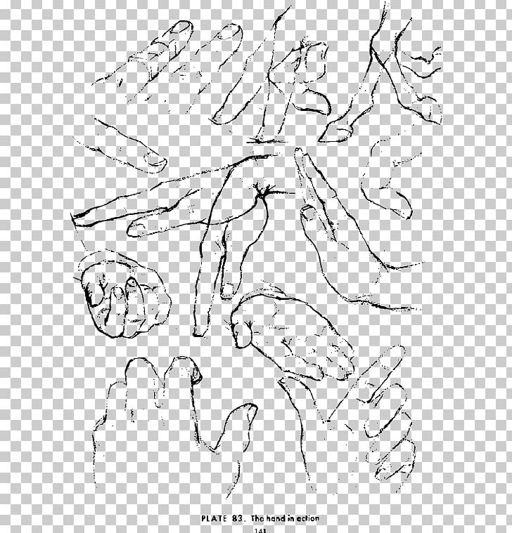 Drawing Hand Croquis Sketch PNG, Clipart, Angle, Area, Arm, Art, Artwork Free PNG Download