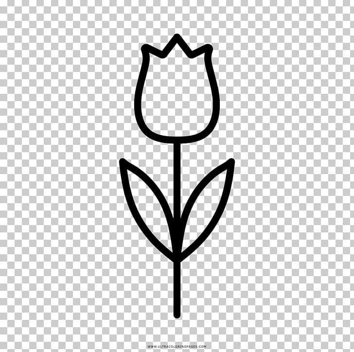 Flower Tulip Coloring Book Drawing PNG, Clipart, Black And White, Child, Color, Coloring Book, Drawing Free PNG Download
