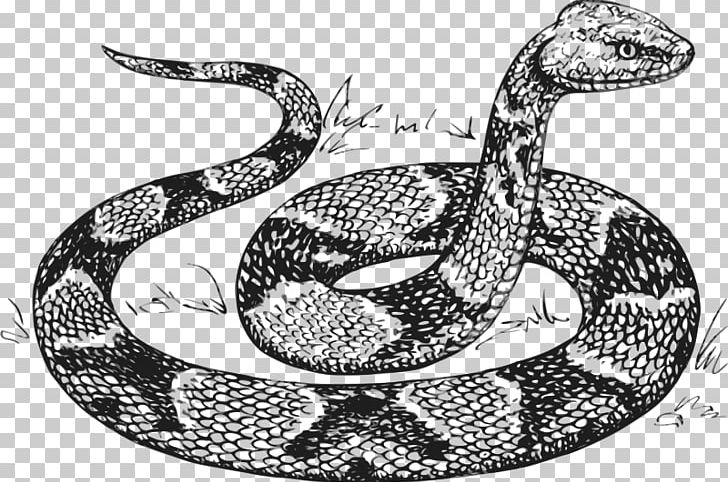 Snake Reptile Drawing Sketch PNG, Clipart, Animals, Black And White, Boa Constrictor, Boas, Copperhead Free PNG Download