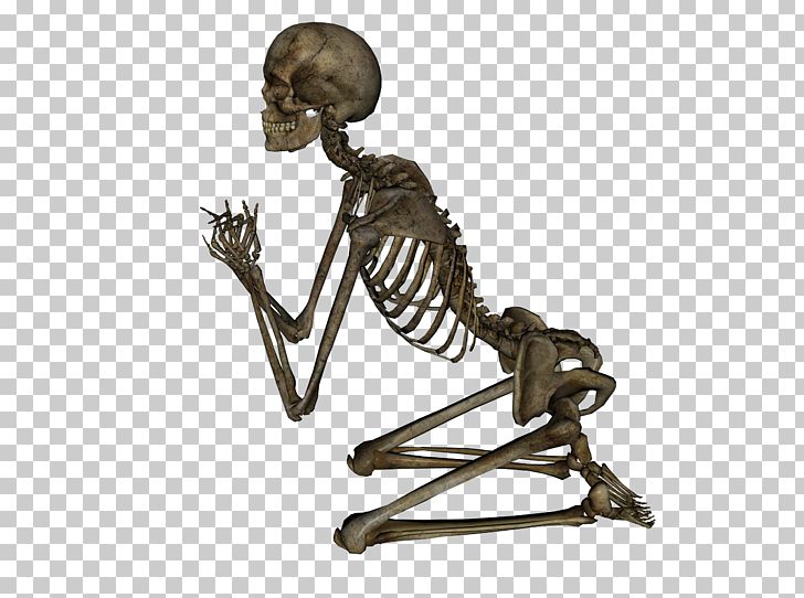 Human Skeleton Stock Photography PNG, Clipart, Anatomy, Bone, Deviantart, Free, Human Skeleton Free PNG Download