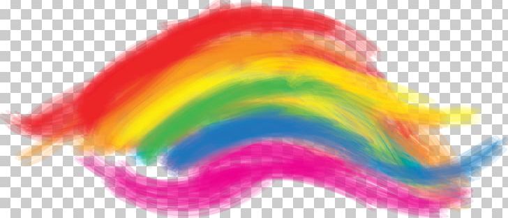 LGBT Rainbow Flag Portable Network Graphics Same-sex Marriage Gay Pride PNG, Clipart, Closeup, Curiosity, Gay Pride, Human, Insult Free PNG Download