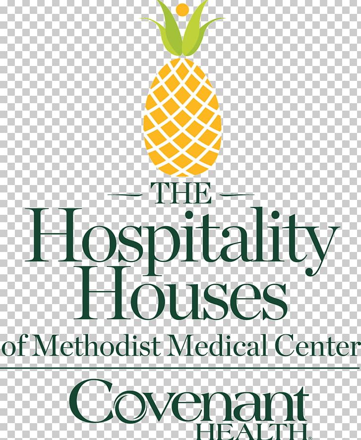 Methodist Medical Center Of Oak Ridge Covenant Health Patient Hospital PNG, Clipart, Area, Brand, Bromeliaceae, Center, Clinic Free PNG Download