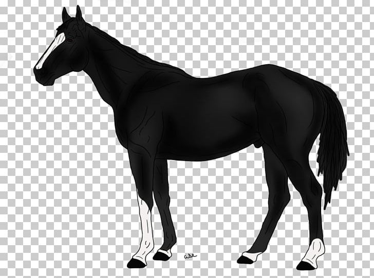 Thoroughbred American Quarter Horse Appaloosa Morgan Horse Breyer Animal Creations PNG, Clipart, American Quarter Horse, Appaloosa, Barrel Racing, Black, Dressage Free PNG Download
