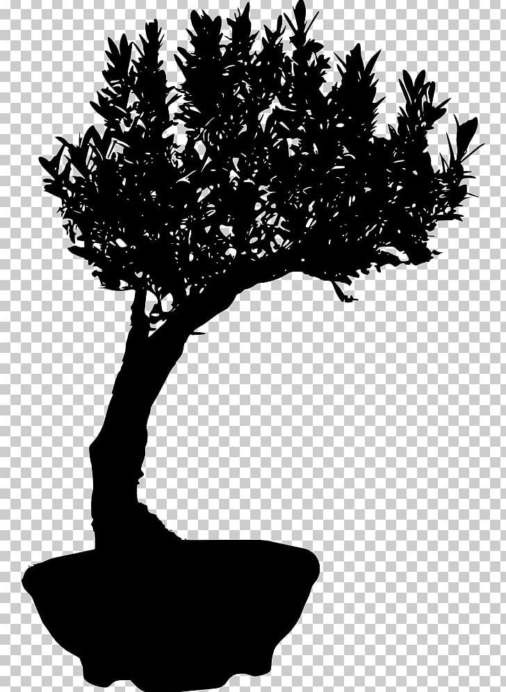 Silhouette Bonsai PNG, Clipart, Animals, Black And White, Bonsai, Branch, Digital Media Free PNG Download