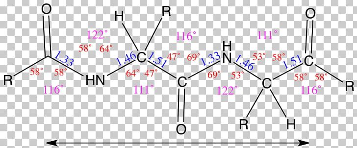 Angle Amino Acid Bond Length Residue PNG, Clipart, Amine, Amino Acid, Angle, Area, Biochemistry Free PNG Download