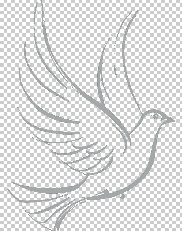 Columbidae Drawing Doves As Symbols Sketch PNG, Clipart, Art, Artwork, Beak, Bird, Branch Free PNG Download