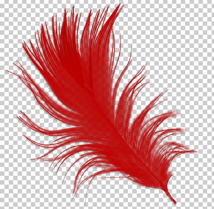 Feather Bird Common Ostrich Hair PNG, Clipart, Animals, Bird, Blue, Common Ostrich, Feather Free PNG Download