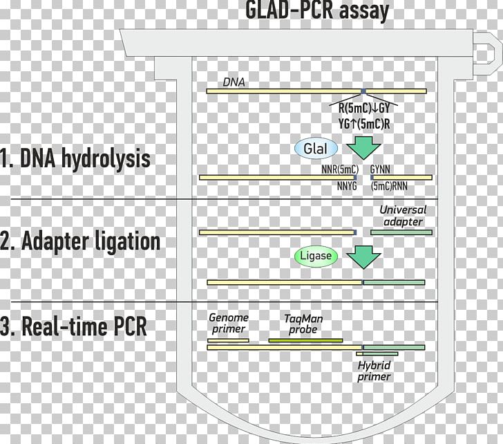 Line Angle Document Material PNG, Clipart, Angle, Area, Art, Diagram, Dna Free PNG Download