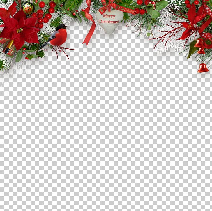 Santa Claus Christmas Decoration Christmas Ornament New Year PNG, Clipart, Aquifoliaceae, Branch, Christmas, Christmas Decoration, Christmas Ornament Free PNG Download