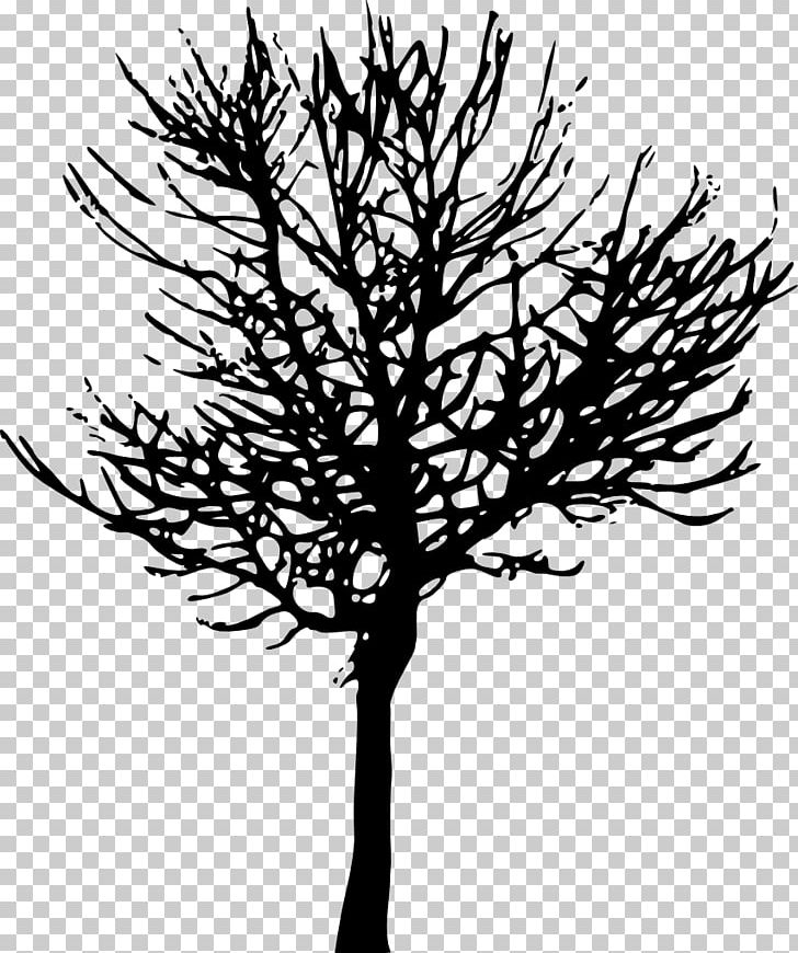 Tree Branch Desktop PNG, Clipart, Black And White, Branch, Desktop Wallpaper, Flower, Leaf Free PNG Download