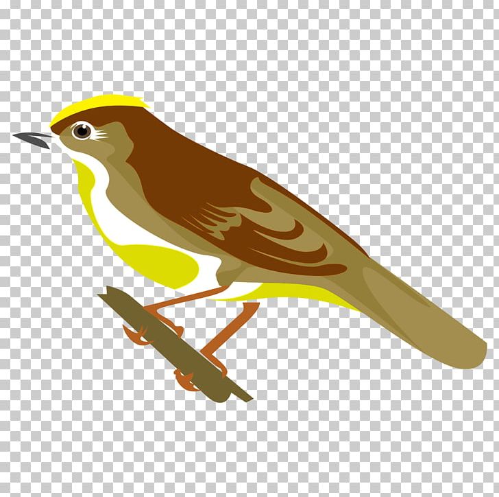 Eurasian Golden Oriole Finches Lark Common Nightingale Old World PNG, Clipart, Animals, Beak, Bird, Common Nightingale, Cuckoos Free PNG Download