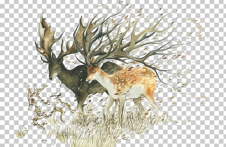 Watercolor Painting Artist Drawing Illustrator PNG, Clipart, Animals, Antler, Antlers, Art, Arts Free PNG Download