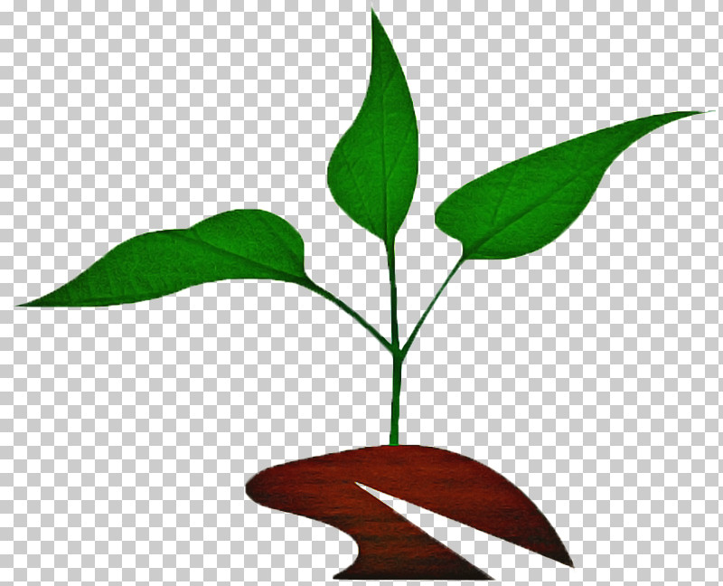 Plant Stem Branch Leaf Flower Plants PNG, Clipart, Biology, Branch, Flower, Leaf, Plants Free PNG Download