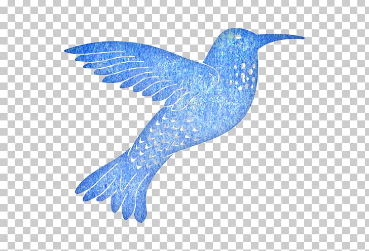 Cheery Lynn Designs Hummingbird M Beak West Cheery Lynn Road PNG, Clipart, Beak, Bird, Cheery Lynn Designs, Cobalt, Cobalt Blue Free PNG Download