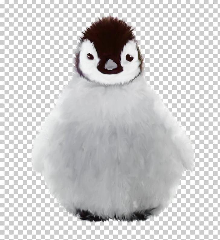 Penguin Winter PNG, Clipart, Animals, Beak, Bird, Flightless Bird, Fur Free PNG Download