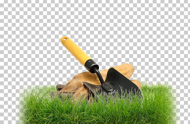 Stock Photography Gardening Lawn Trowel PNG, Clipart, Depositphotos, Garden, Gardening, Grass, Lawn Free PNG Download