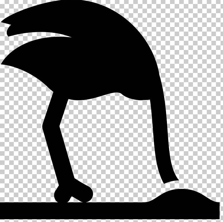 Common Ostrich Computer Icons PNG, Clipart, Animals, Artwork, Beak, Bird, Black Free PNG Download