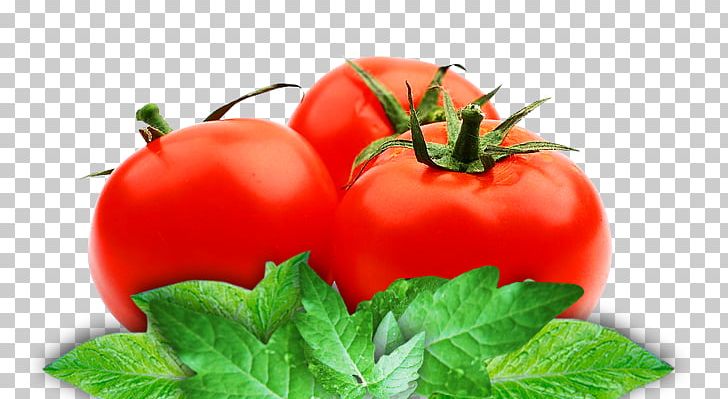 Organic Food Tomato Juice Vegetarian Cuisine Tomato Paste Vegetable PNG, Clipart, Bell Pepper, Bell Peppers And Chili Peppers, Bush Tomato, Cooperation, Food Free PNG Download
