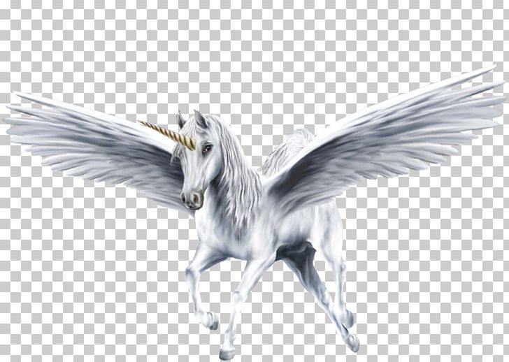 Pegasus Winged Unicorn Horse PNG, Clipart, Beak, Bird, Desktop Wallpaper, Fantasy, Feather Free PNG Download