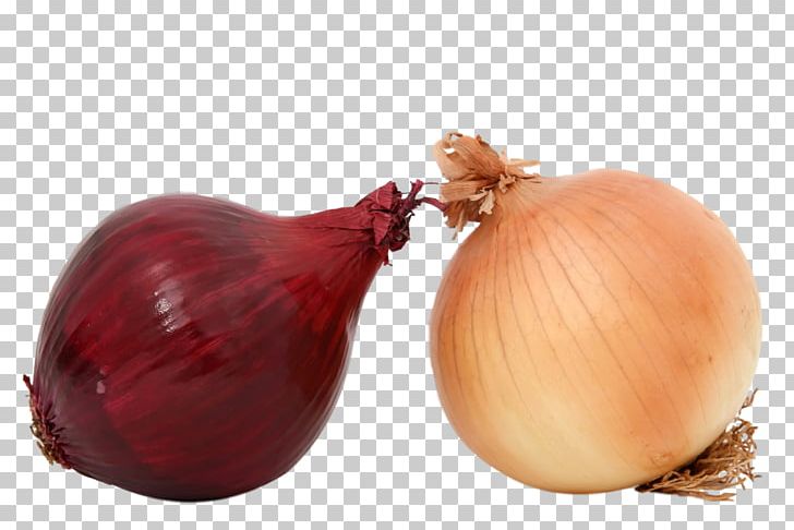 Yellow Onion Shallot Red Onion Food Health PNG, Clipart,  Free PNG Download