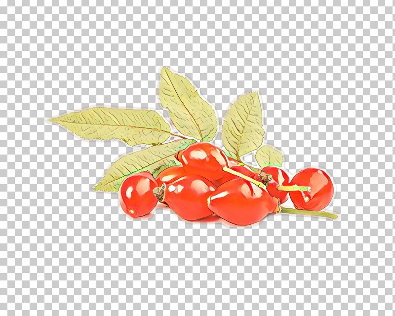 Plant Leaf Fruit Flower Food PNG, Clipart, Acerola Family, Berry, Flower, Food, Fruit Free PNG Download