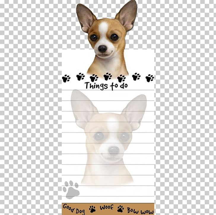 Chihuahua Toy Fox Terrier Puppy Yorkshire Terrier West Highland White Terrier PNG, Clipart, Animals, Boston Terrier, Carnivoran, Chihuahua, Chihuahua Dog Free PNG Download
