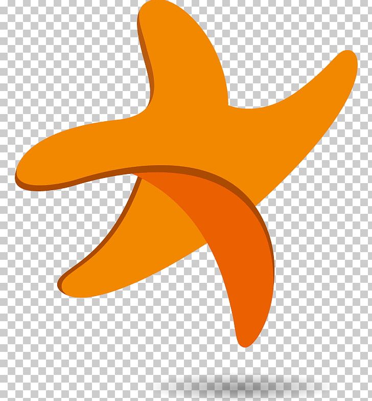 Starfish Line .cf PNG, Clipart, Animals, Echinoderm, Fish, Invertebrate, Line Free PNG Download