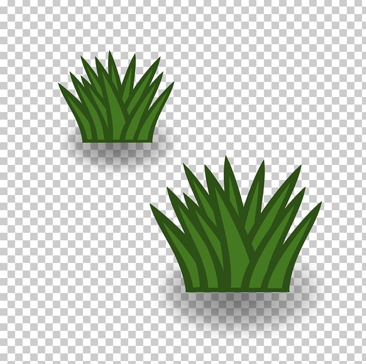 Temperate Grasslands PNG, Clipart, Aloe, Biome, Computer Icons, Drawing, Flowerpot Free PNG Download