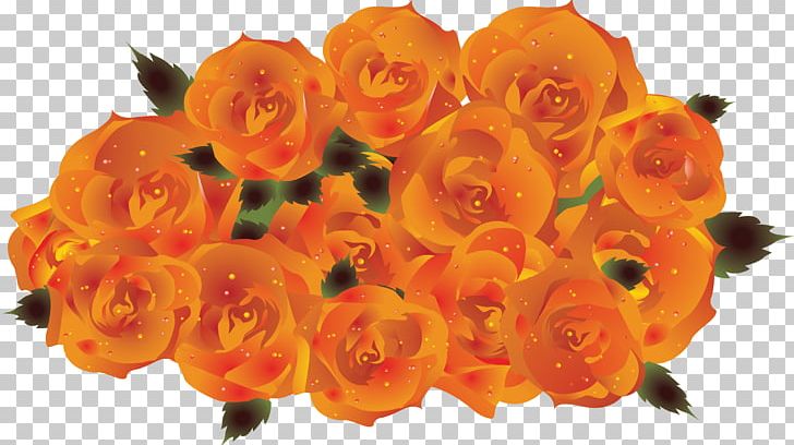 Garden Roses Orange Petal PNG, Clipart, Bouquet, Cut Flowers, Floristry, Flower, Flower Bouquet Free PNG Download