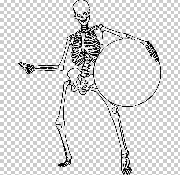 Human Skeleton Bone Human Body Vertebral Column PNG, Clipart, Anatomy, Arm, Fashion Illustration, Fictional Character, Hand Free PNG Download