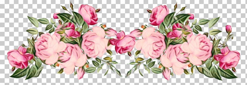 Garden Roses PNG, Clipart, Cut Flowers, Flower, Garden Roses, Paint, Petal Free PNG Download