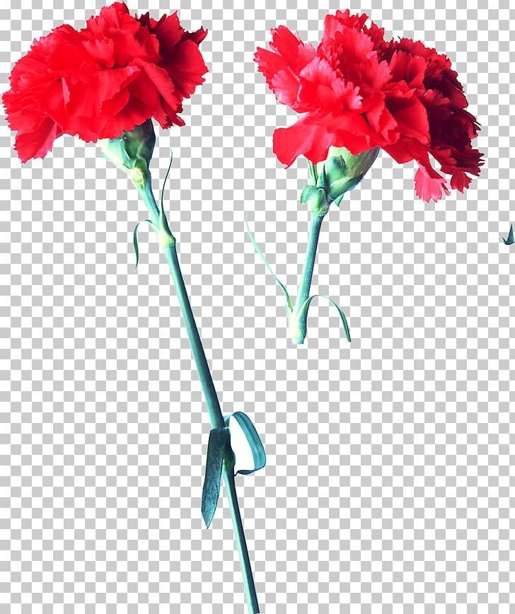Carnation 17. U0421u0431u043eu0440u043du0438u043a U0440u0430u0441u0441u043au0430u0437u043eu0432 Flower Red PNG, Clipart, Artificial Flower, Bud, Chinese, Chinese Border, Chinese Lantern Free PNG Download