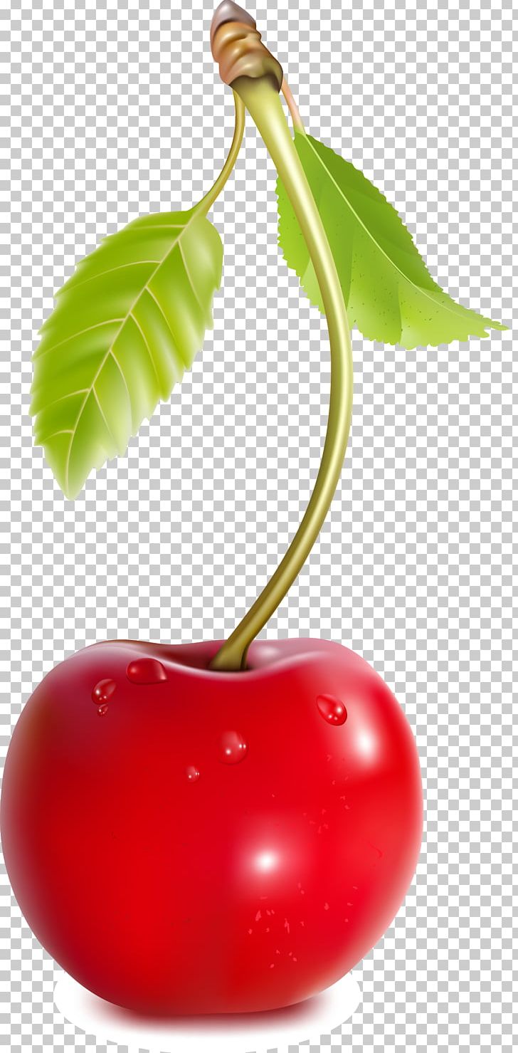 Coca-Cola Cherry Fruit PNG, Clipart, Acerola Family, Adobe Illustrator, Apple, Auglis, Cherry Free PNG Download