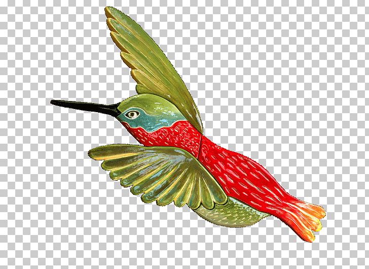 Hummingbird Ceramic Beak Tile PNG, Clipart, Beak, Bird, Ceramic, Coraciiformes, Fauna Free PNG Download