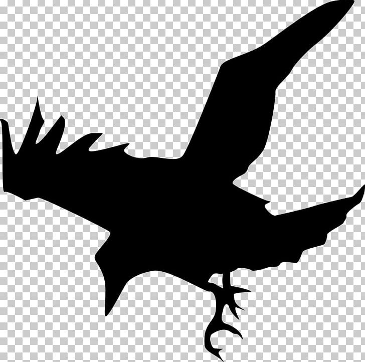 Common Raven PNG, Clipart, Animals, Artwork, Beak, Bird, Black And White Free PNG Download