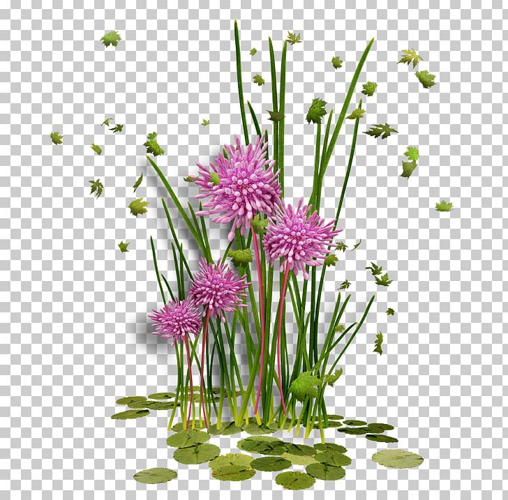 Flower Frames PNG, Clipart, Ces, Chives, Clip Art, English Landscape Garden, Floral Design Free PNG Download