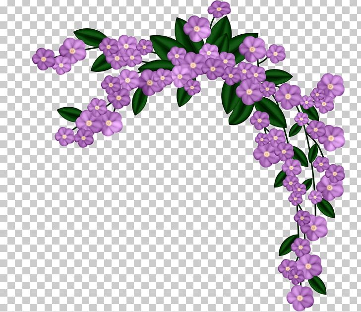 Flower PNG, Clipart, Angle, Cut Flowers, Floral Design, Flower, Flowering Plant Free PNG Download