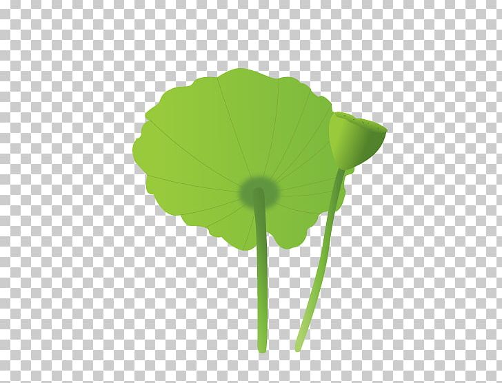 Petal Leaf Plant Stem PNG, Clipart, Autumn Leaf, Creative, Flower, Fresh, Fresh Lotus Leaf Free PNG Download