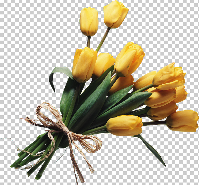 Artificial Flower PNG, Clipart, Artificial Flower, Bouquet, Crocus, Cut Flowers, Floristry Free PNG Download
