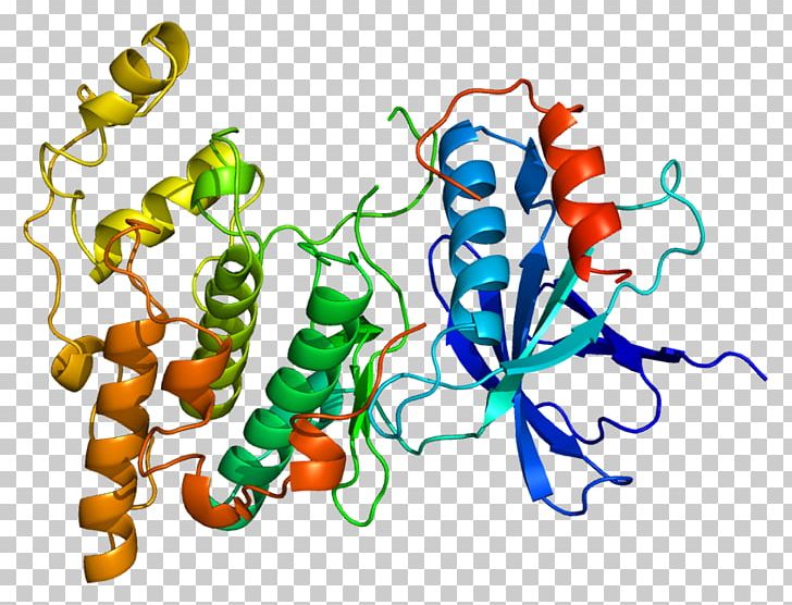 C-Jun N-terminal Kinases Mitogen-activated Protein Kinase MAPK10 PNG, Clipart, Area, Art, Artwork, Biochemistry, Cjun Free PNG Download