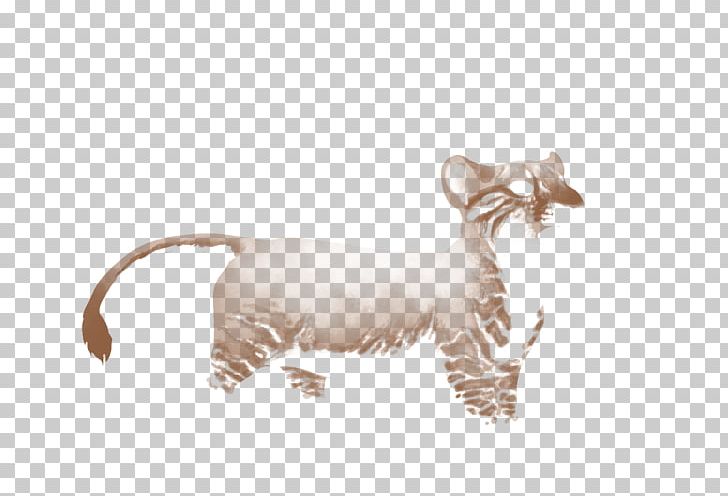Cattle Horn Goat Fauna Wildlife PNG, Clipart, Animals, Carnivora, Carnivoran, Cattle, Cattle Like Mammal Free PNG Download