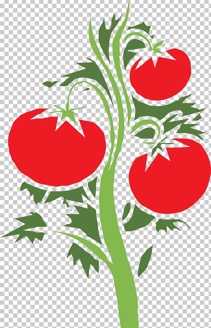 Cherry Tomato Plant PNG, Clipart, Artwork, Bell Pepper, Branch, Cherry Tomato, Clip Art Free PNG Download