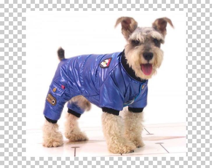 Dog Breed Miniature Schnauzer Windbreaker Clothing Coat PNG, Clipart, Carnivoran, Clothing, Coat, Companion Dog, Dog Free PNG Download