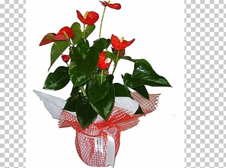 Floristry Flowerpot Cut Flowers Transvaal Daisy PNG, Clipart, Artificial Flower, Basket, Bonsai, Ceramic, Cut Flowers Free PNG Download